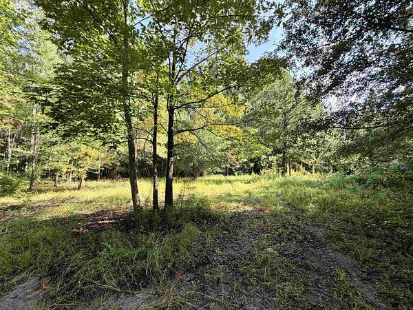 50.5 Acres of Recreational & Residential Land for Sale in New Zion, South Carolina