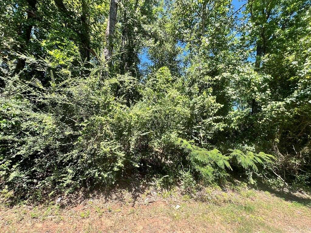 3.47 Acres of Residential Land for Sale in Pollok, Texas