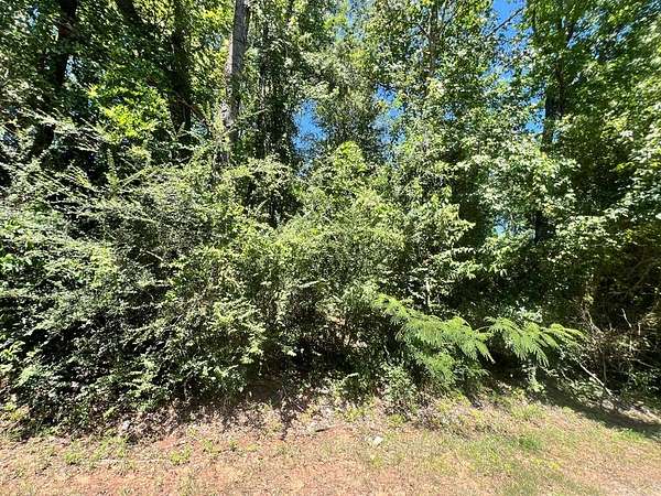 3.47 Acres of Residential Land for Sale in Pollok, Texas
