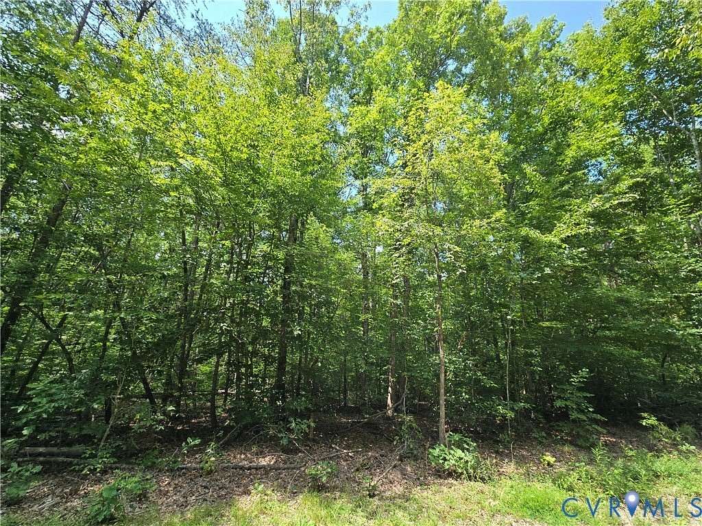 15.8 Acres of Land for Sale in Louisa, Virginia