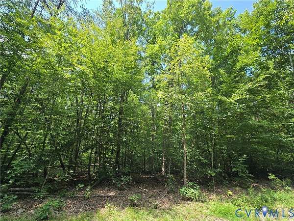 15.8 Acres of Land for Sale in Louisa, Virginia