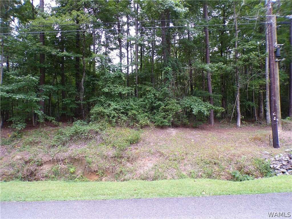 1.42 Acres of Residential Land for Sale in Fayette, Alabama