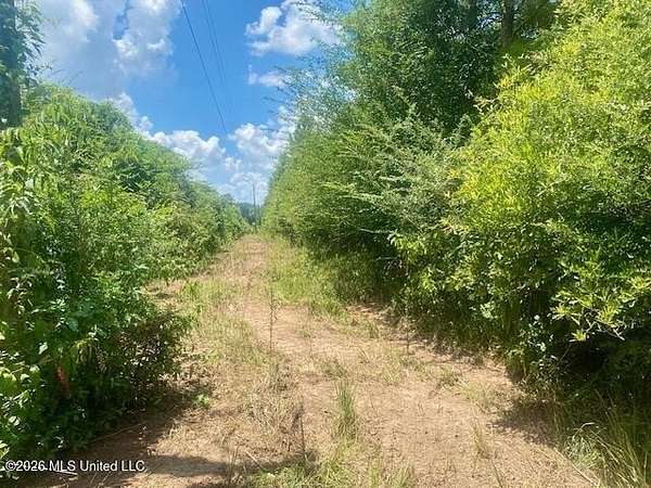 35 Acres of Recreational & Residential Land for Sale in Jayess, Mississippi