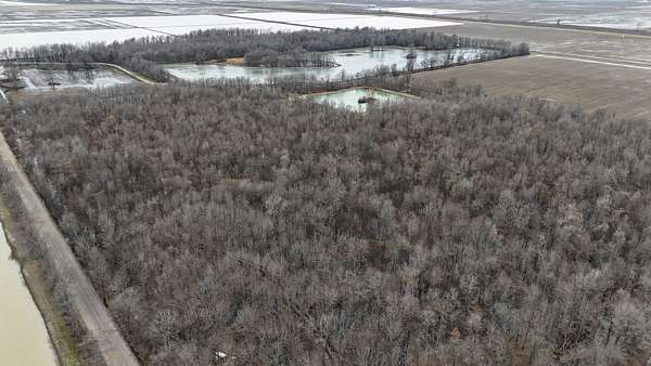122 Acres of Land for Sale in Kennett, Missouri