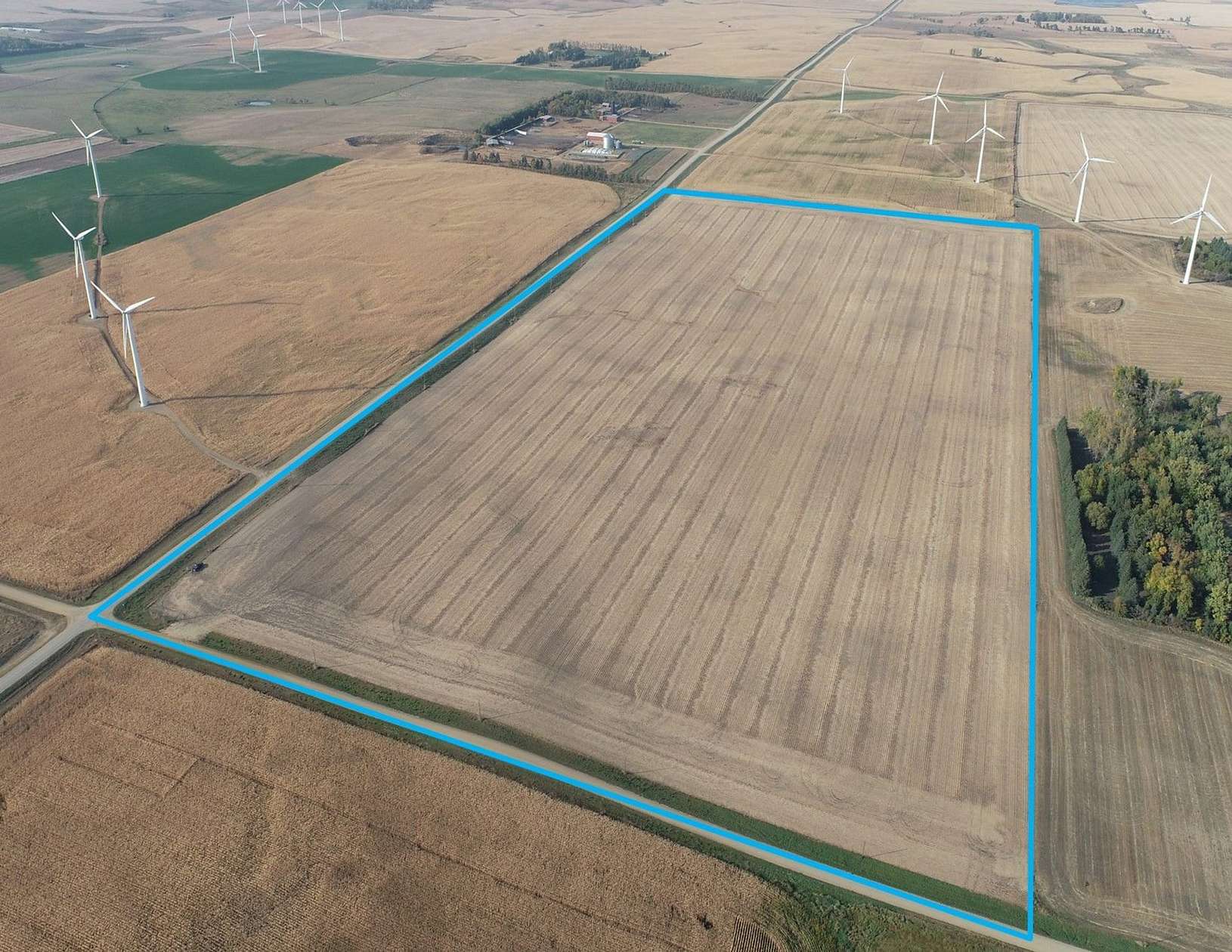 80 Acres of Agricultural Land for Sale in Lake Benton, Minnesota