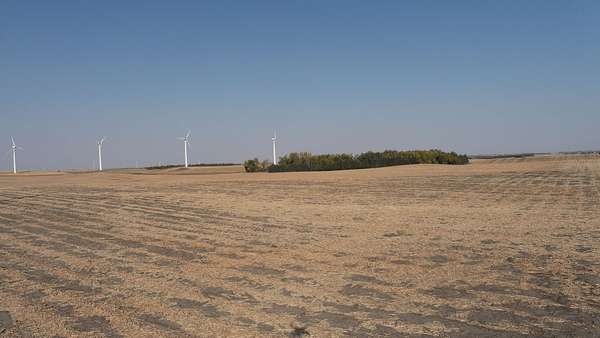 80 Acres of Land for Sale in Lake Benton, Minnesota