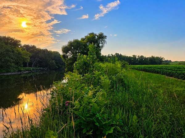 84.6 Acres of Recreational Land for Sale in Hardy, Iowa