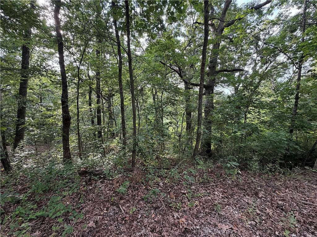 0.41 Acres of Residential Land for Sale in Huntsville, Arkansas
