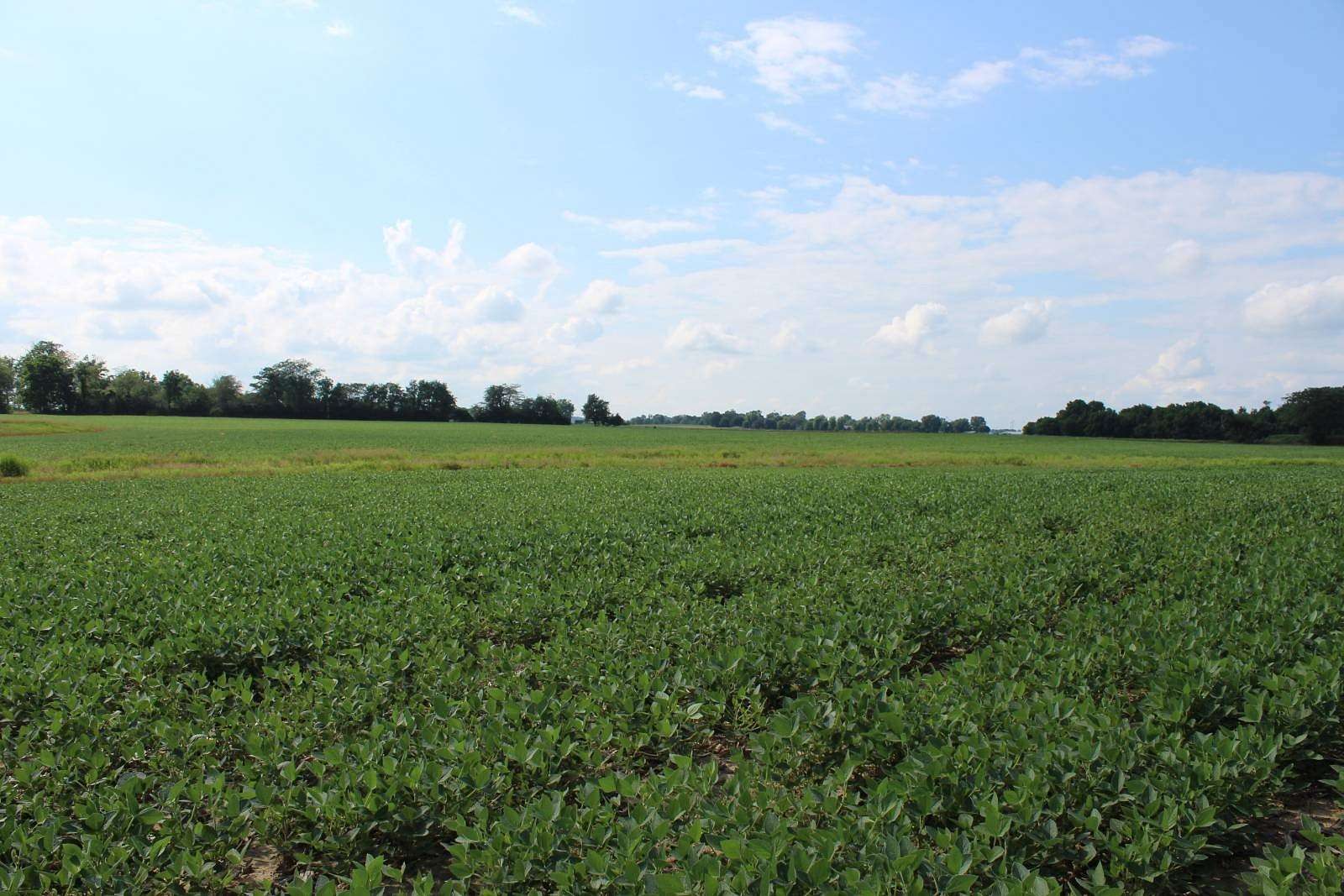 79 Acres of Land for Sale in Elwood, Indiana