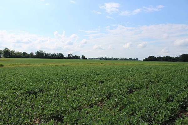 79 Acres of Land for Sale in Elwood, Indiana
