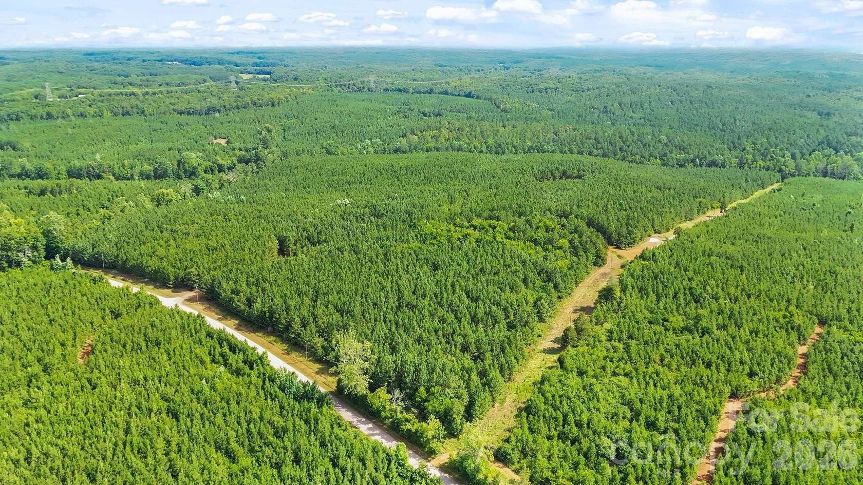 234 Acres of Recreational & Residential Land for Sale in Sharon, South Carolina