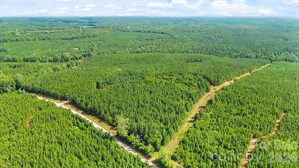 234 Acres of Recreational & Residential Land for Sale in Sharon, South Carolina