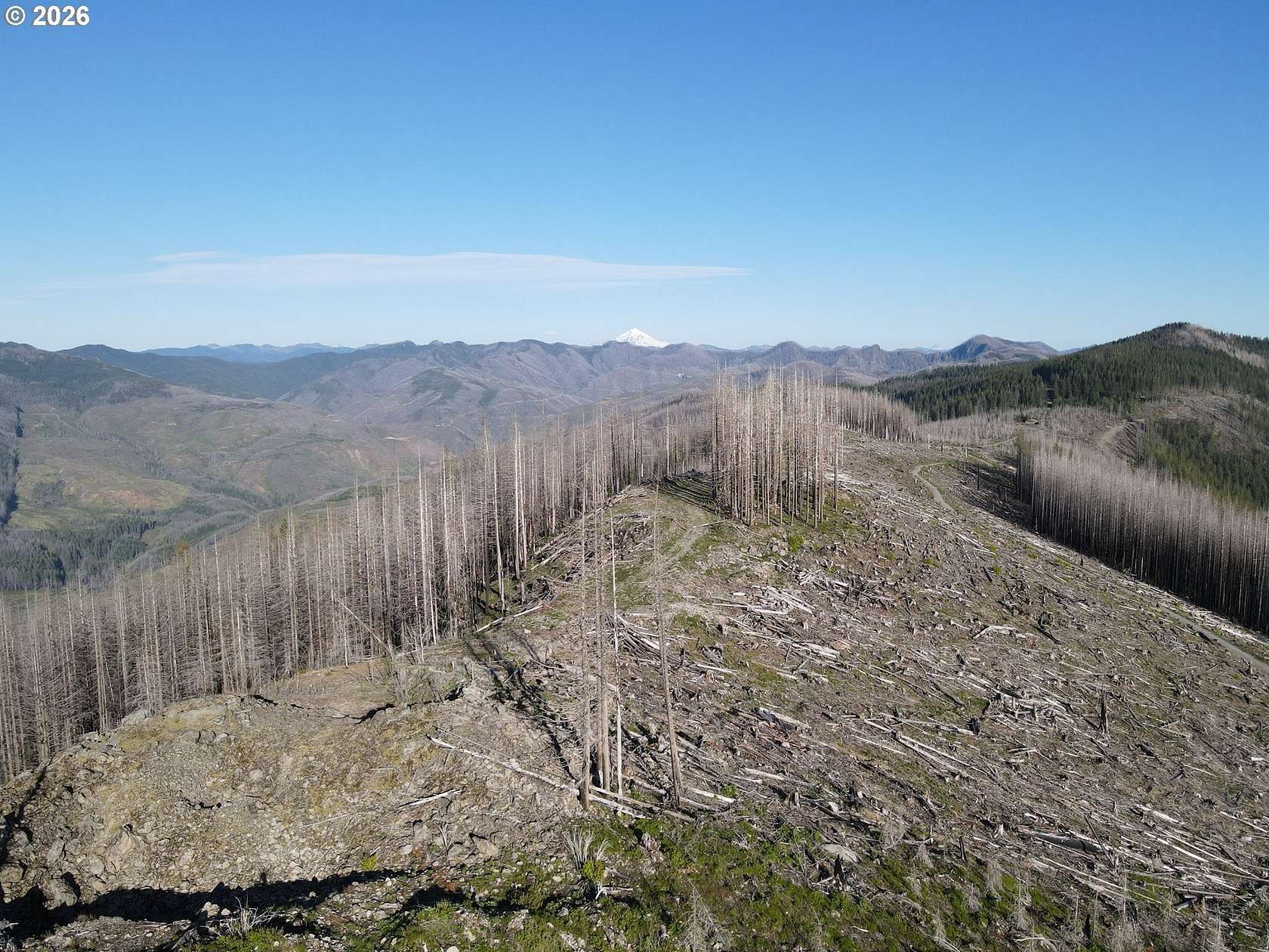 80 Acres of Recreational Land for Sale in Molalla, Oregon