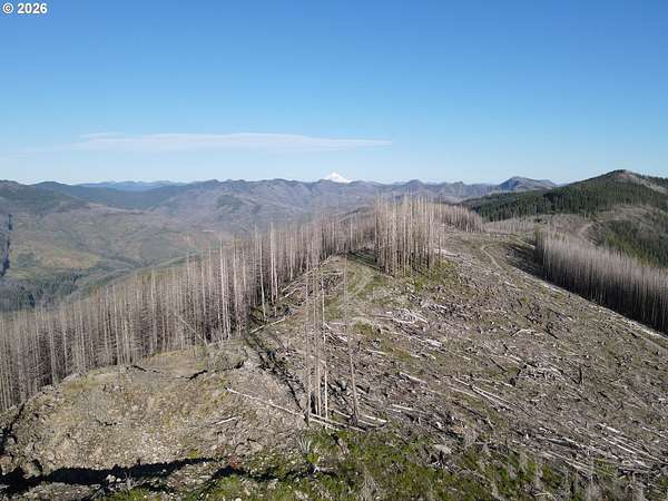 80 Acres of Recreational Land for Sale in Molalla, Oregon