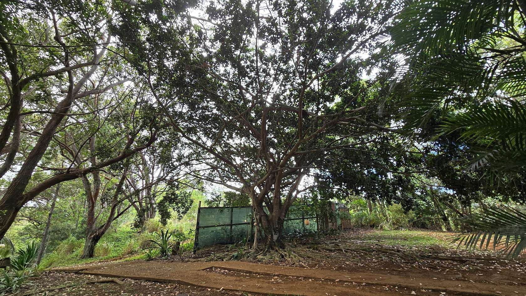 1 Acre of Land for Sale in Kalaheo, Hawaii