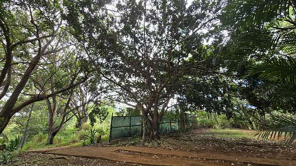 1 Acre of Land for Sale in Kalaheo, Hawaii