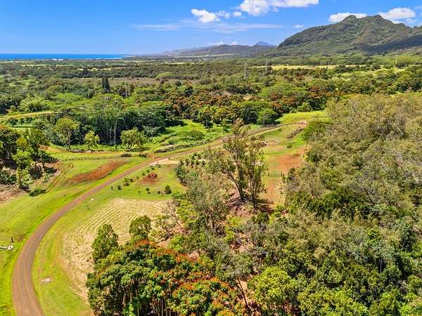 2 Acres of Residential Land for Sale in Kapaa, Hawaii