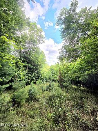0.85 Acres of Residential Land for Sale in Topton, North Carolina
