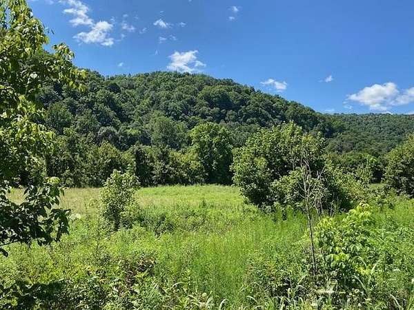 14 Acres of Land for Sale in Tazewell, Tennessee