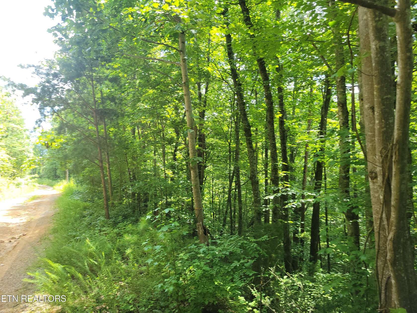 0.3 Acres of Residential Land for Sale in Sevierville, Tennessee