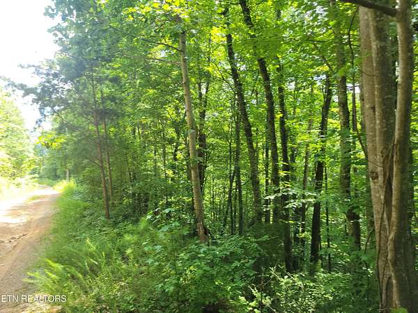 0.3 Acres of Residential Land for Sale in Sevierville, Tennessee