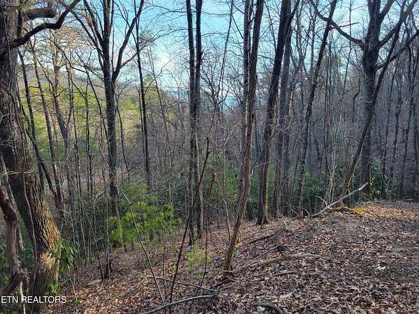 0.34 Acres of Residential Land for Sale in Sevierville, Tennessee