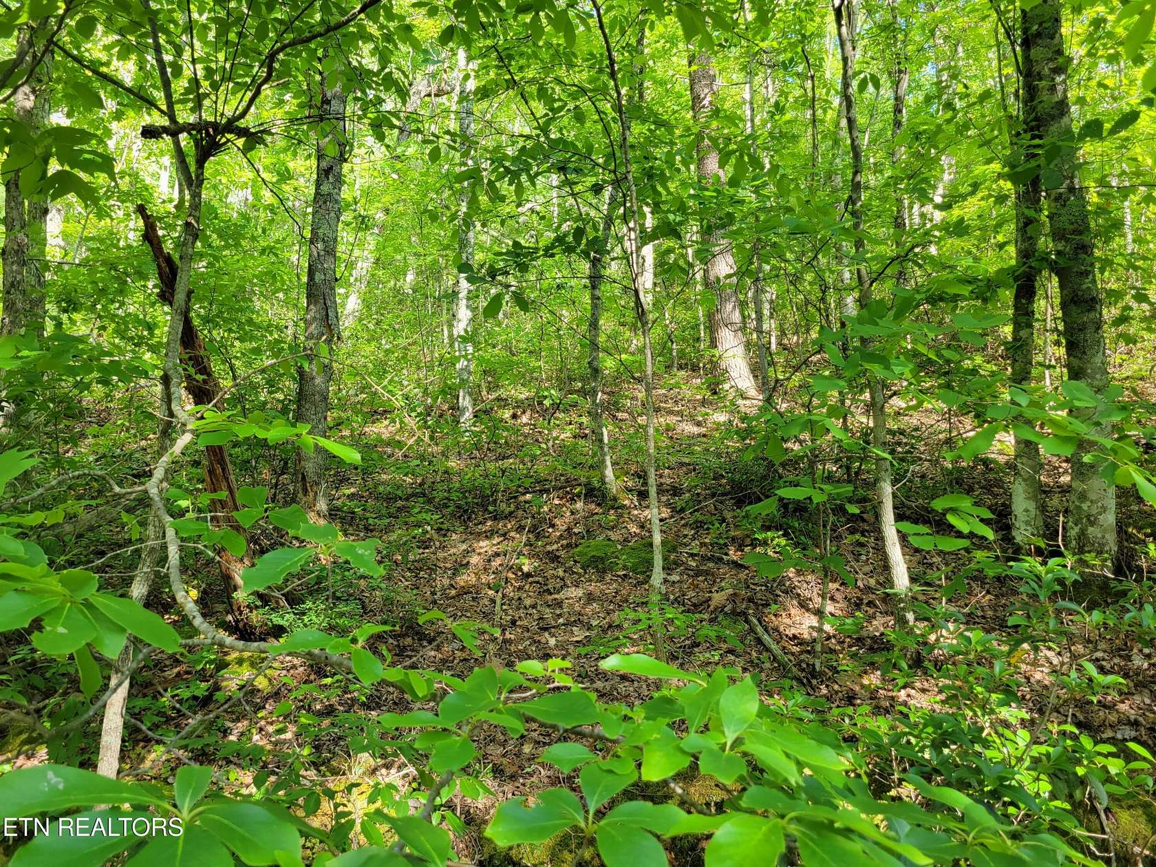 0.24 Acres of Residential Land for Sale in Sevierville, Tennessee