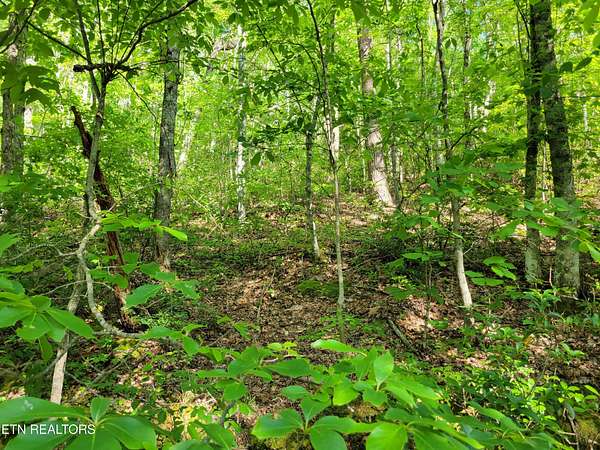 0.24 Acres of Residential Land for Sale in Sevierville, Tennessee