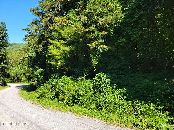1.15 Acres of Residential Land for Sale in Del Rio, Tennessee