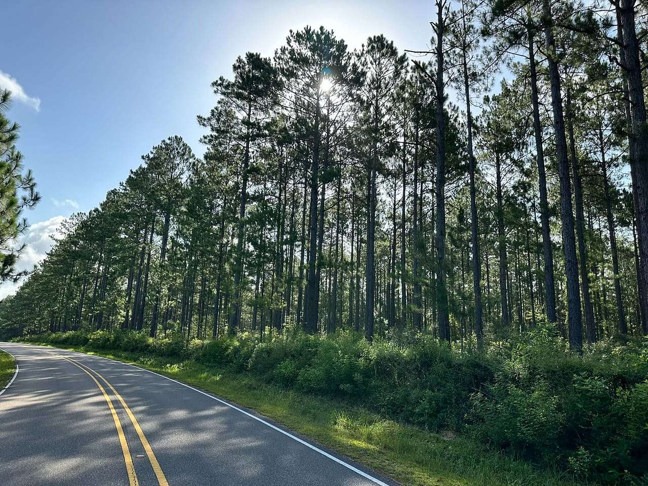 32.5 Acres of Land for Sale in Lumberton, Mississippi