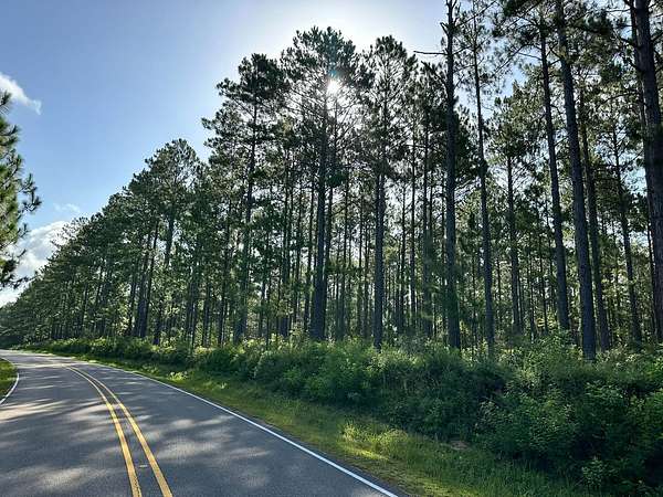 32.5 Acres of Land for Sale in Lumberton, Mississippi
