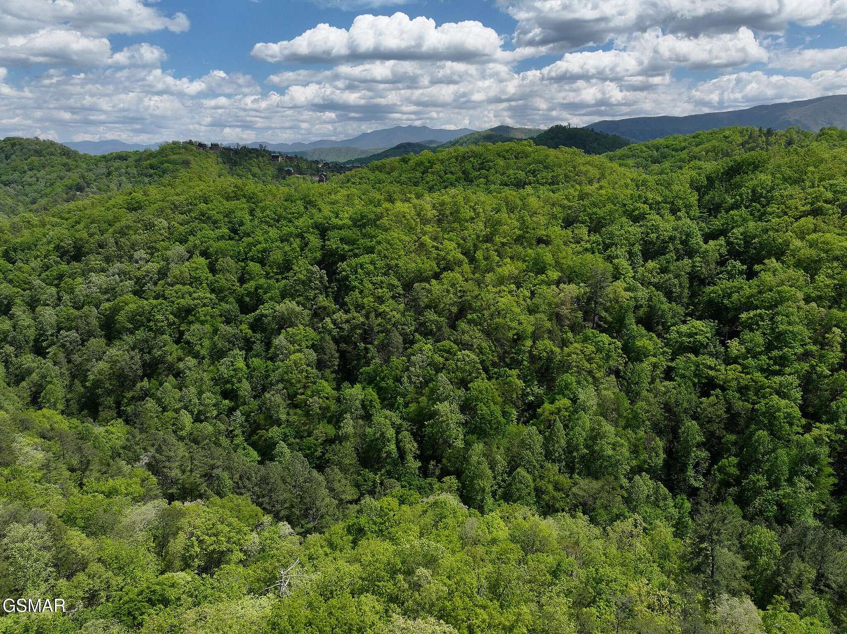 42.5 Acres of Land for Sale in Sevierville, Tennessee