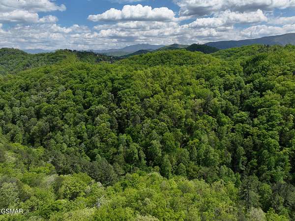 42.5 Acres of Land for Sale in Sevierville, Tennessee