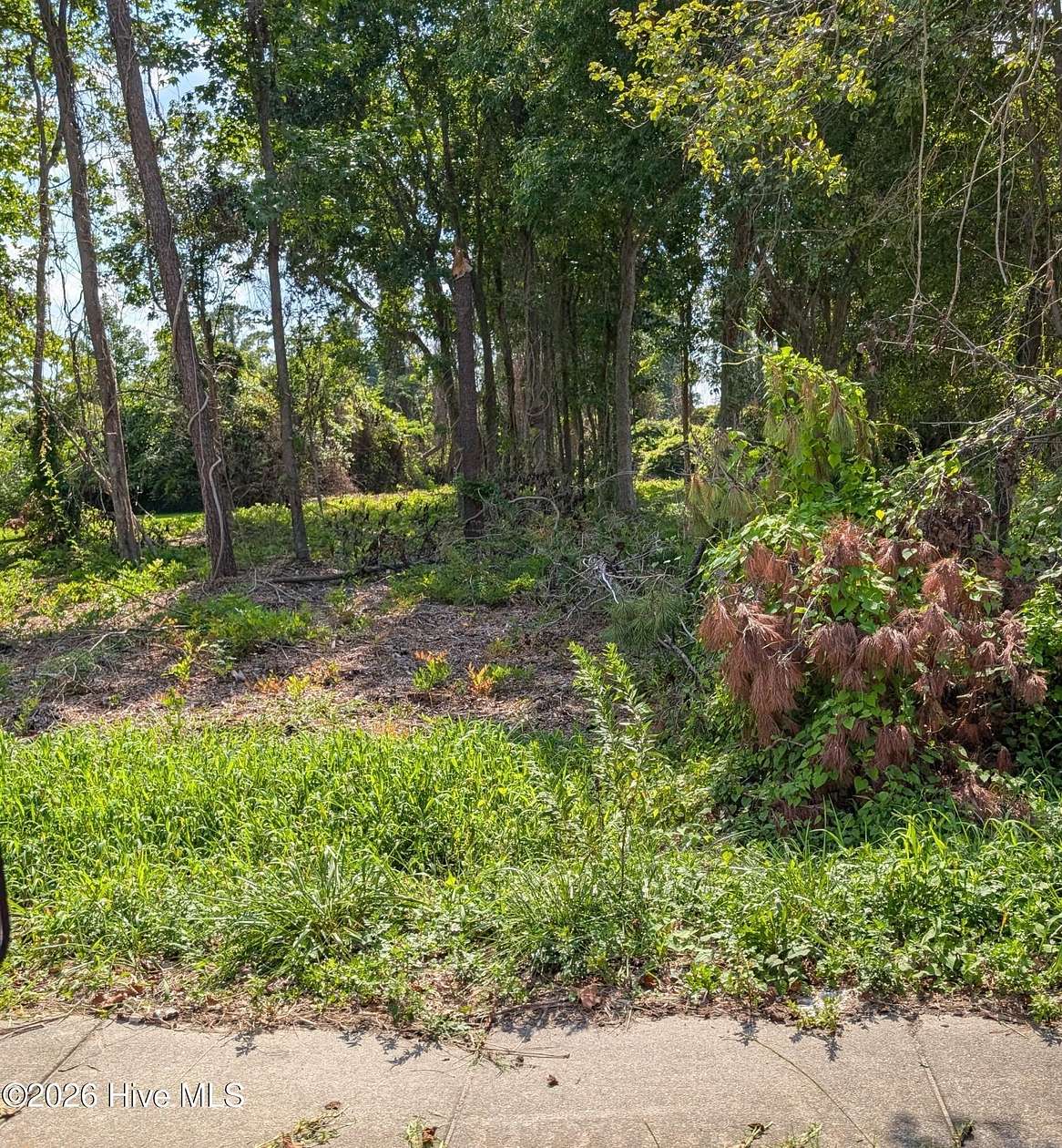 0.56 Acres of Mixed-Use Land for Sale in Jacksonville, North Carolina