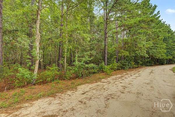 0.95 Acres of Residential Land for Sale in Pembroke, Georgia