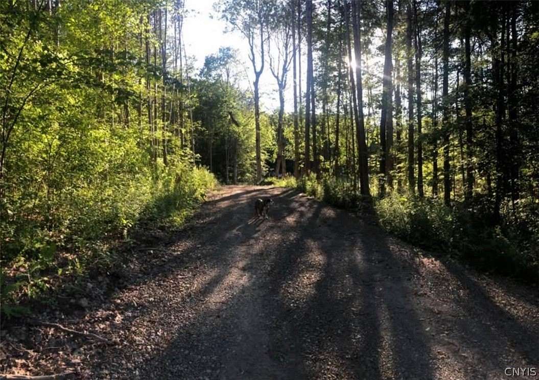 6.65 Acres of Residential Land for Sale in Freeville, New York