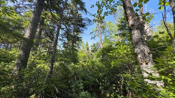 28.4 Acres of Recreational Land for Sale in Jonesboro, Maine