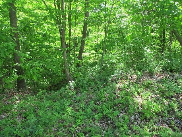 0.35 Acres of Land for Sale in Coloma, Michigan