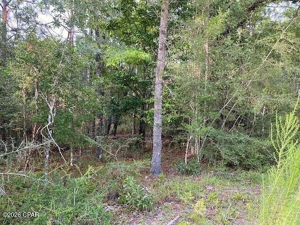 0.96 Acres of Land for Sale in Alford, Florida