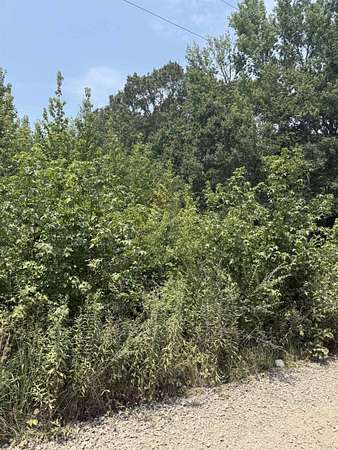 3 Acres of Land for Sale in Carlisle, Arkansas