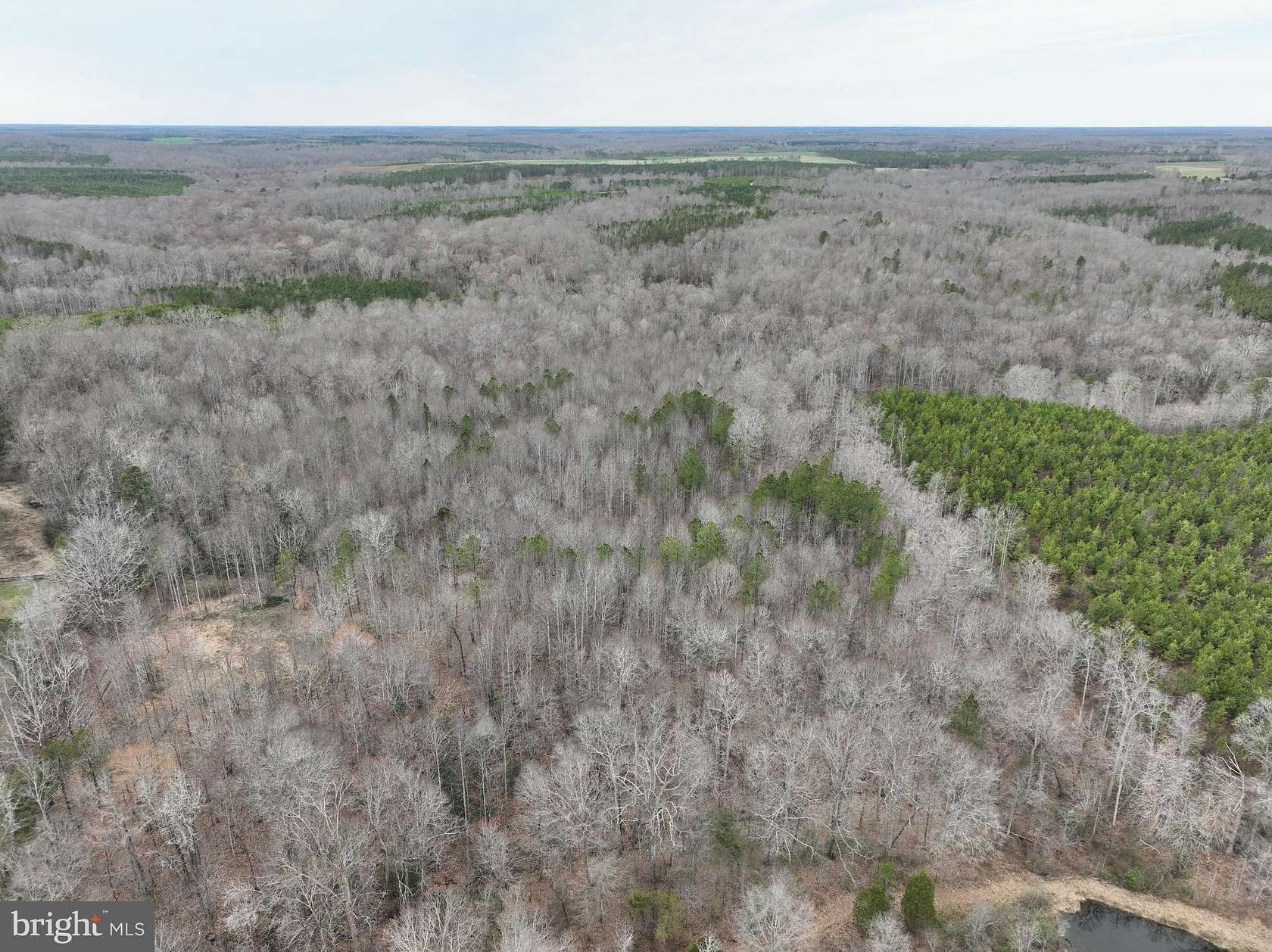 19.2 Acres of Recreational & Residential Land for Sale in Champlain, Virginia