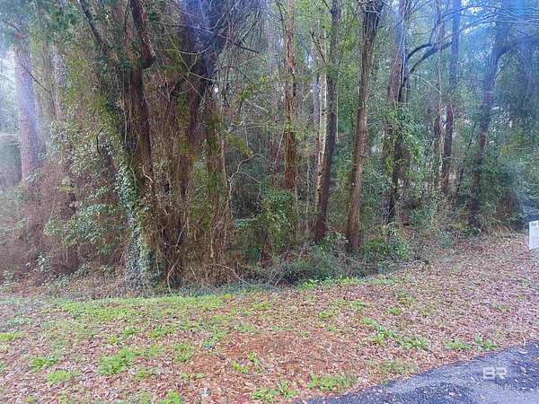 0.3 Acres of Land for Sale in Daphne, Alabama