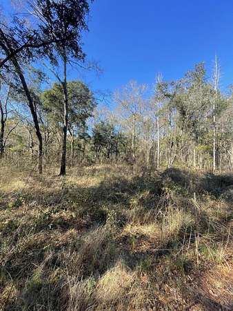 0.7 Acres of Residential Land for Sale in McClellanville, South Carolina