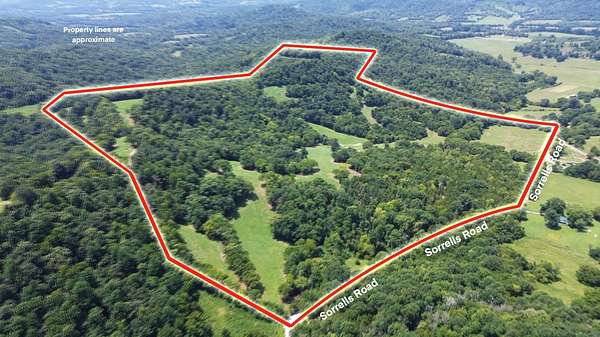 115 Acres of Land for Sale in Petersburg, Tennessee