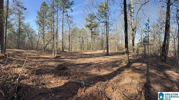 8 Acres of Land for Sale in Riverside, Alabama