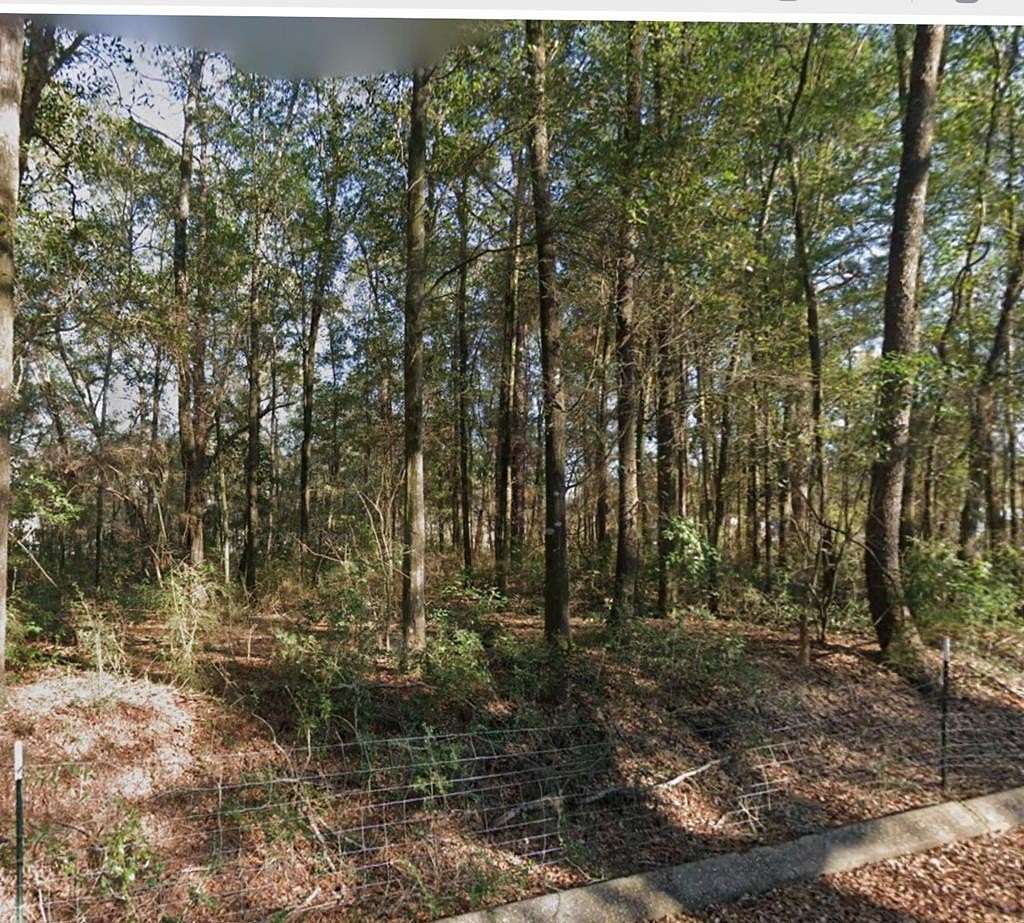 0.97 Acres of Residential Land for Sale in Level Plains, Alabama