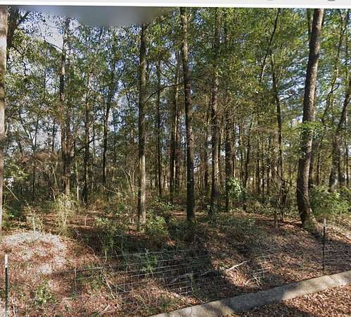 0.97 Acres of Residential Land for Sale in Level Plains, Alabama