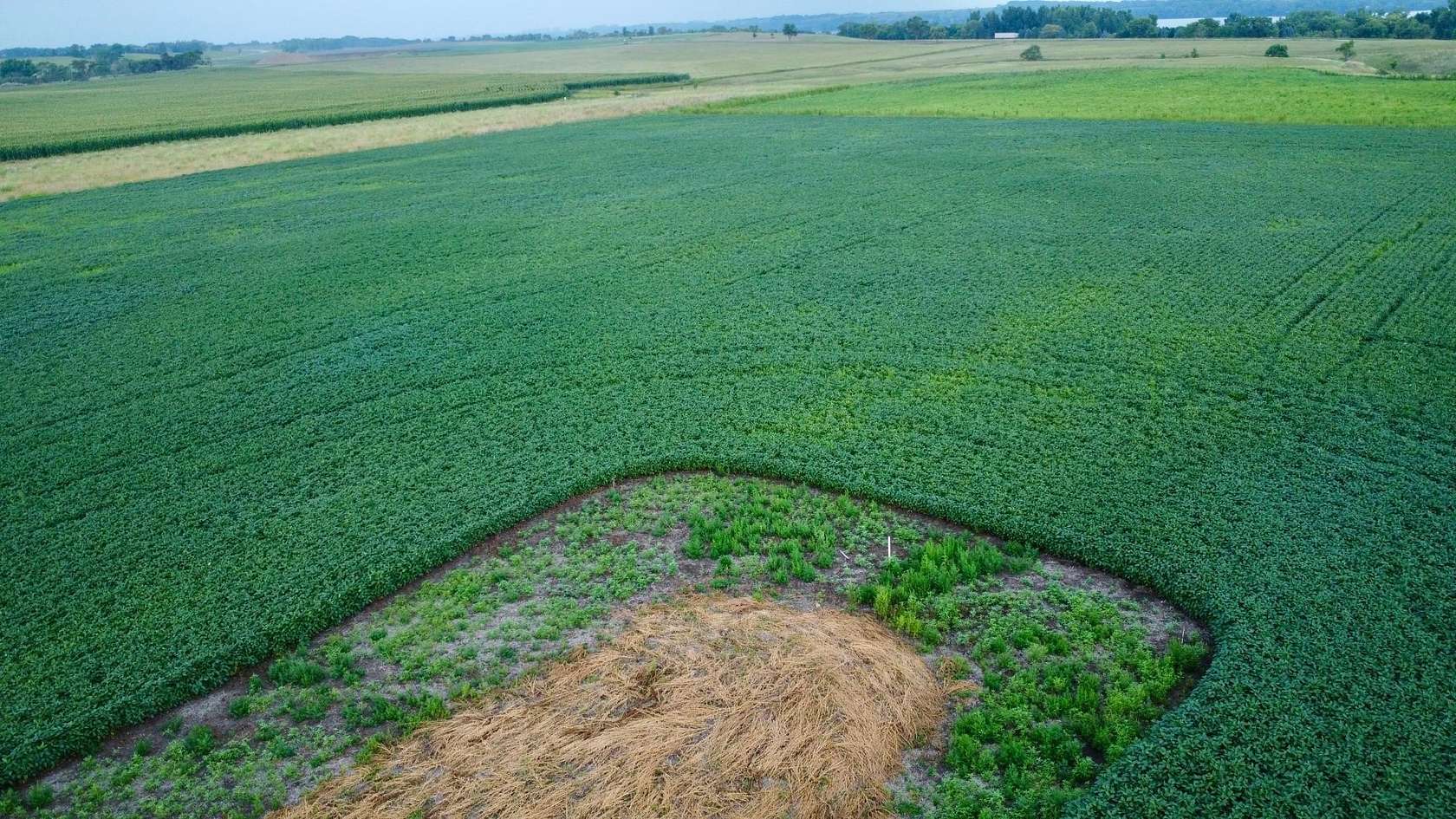 3.75 Acres of Residential Land for Sale in Big Stone City, South Dakota