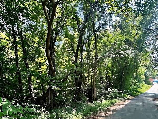 1 Acre of Residential Land for Sale in Lewisville, North Carolina