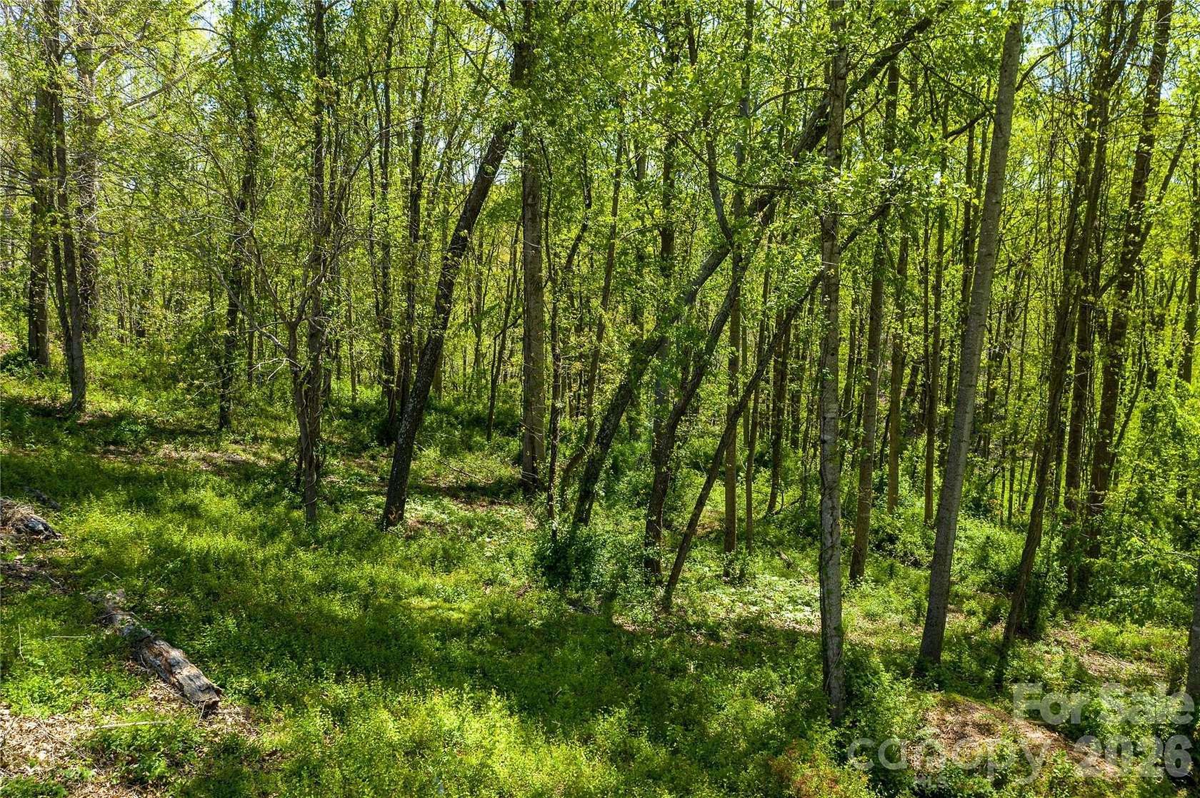 1.32 Acres of Residential Land for Sale in Asheville, North Carolina